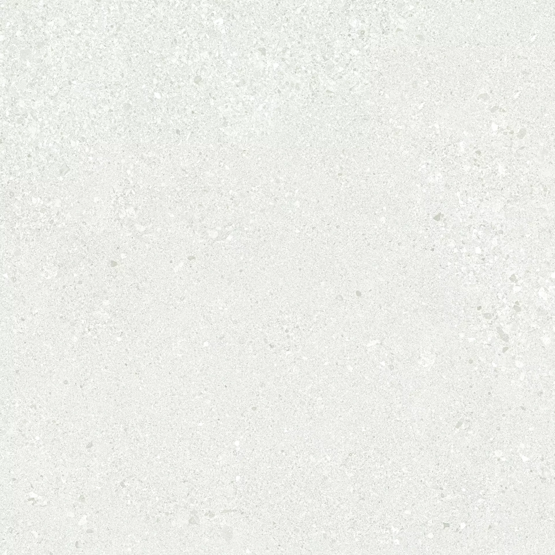Ergon Grain Stone Rough Grain White Naturale E0CE 60x60cm rectified 9,5mm