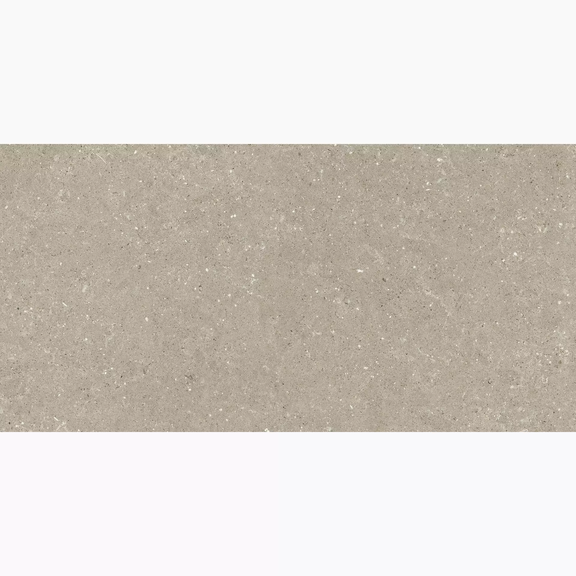 Del Conca Hwd2 Wild2 Greige Hwd211 Naturale SCWD11R 60x120cm rectified 20mm