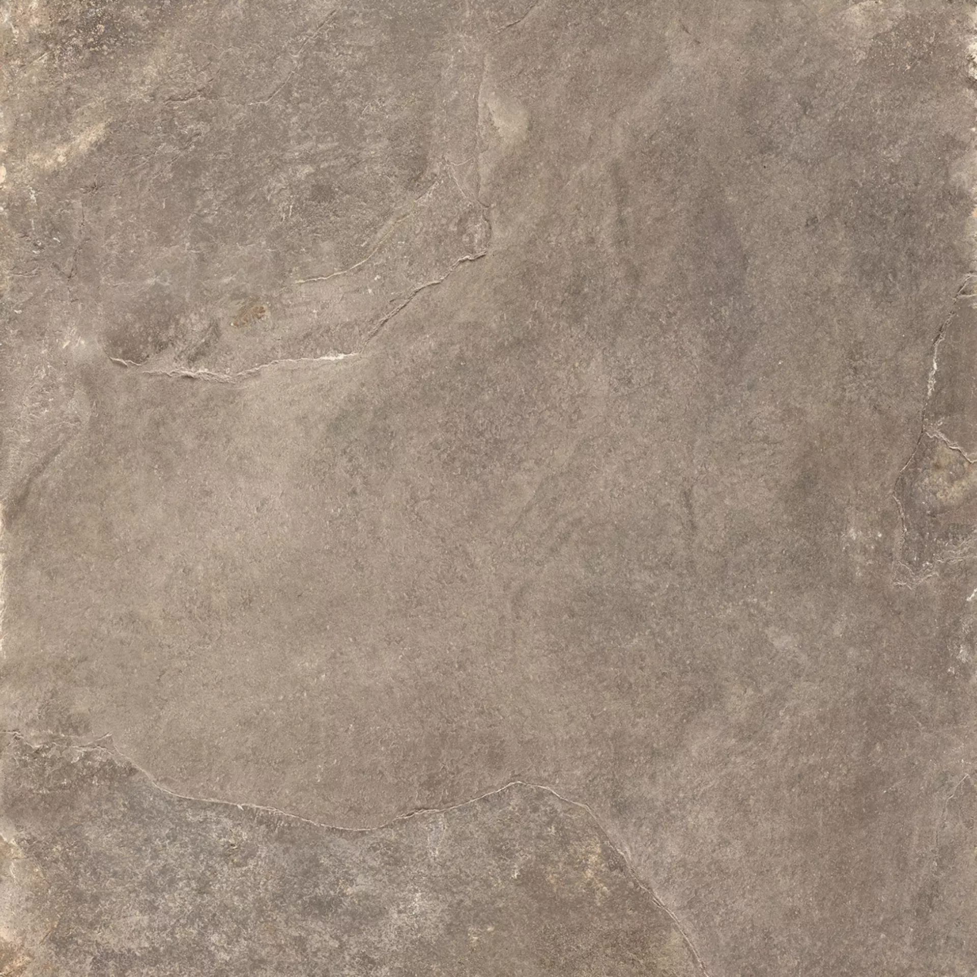 Rondine Ardesie Taupe Naturale J86992 60x60cm rectified 9,5mm