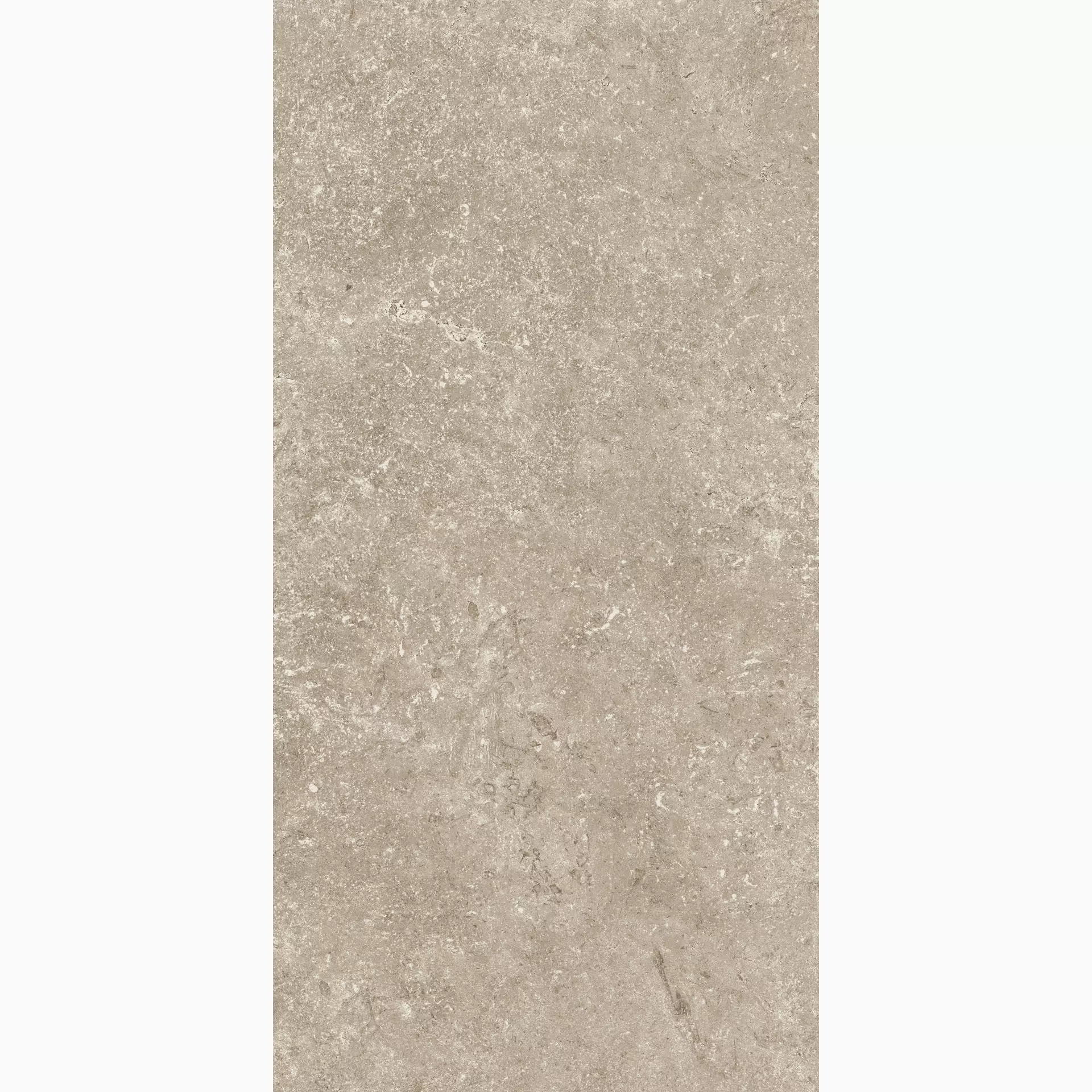 Cottodeste Secret Stone Shadow Grey Naturale Protect EG-SS30 30x60cm rectified 14mm