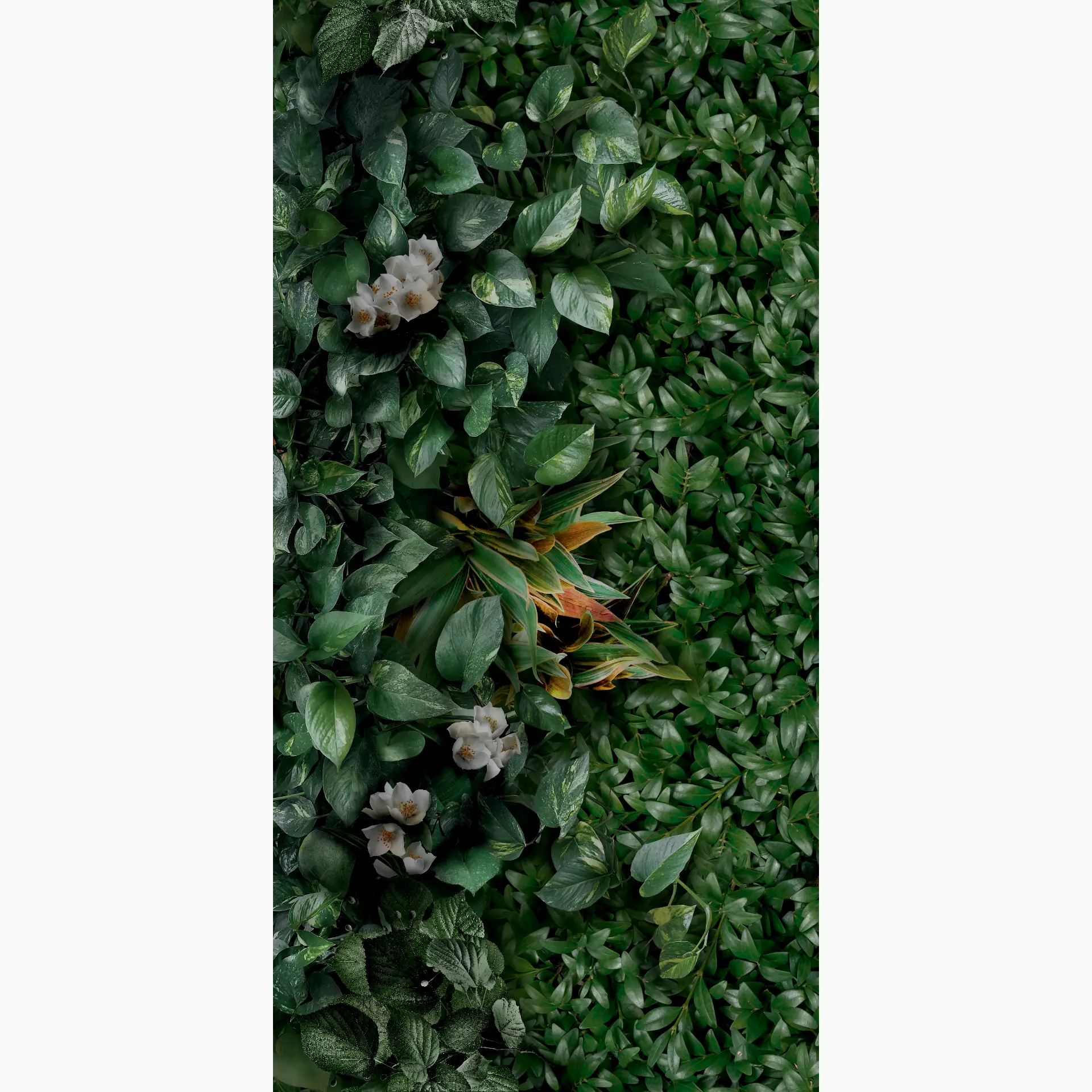 Panaria Zero.3 Glam D Naturale Decor Greenwall PG9GM9D 50x100cm rectified 3,5mm