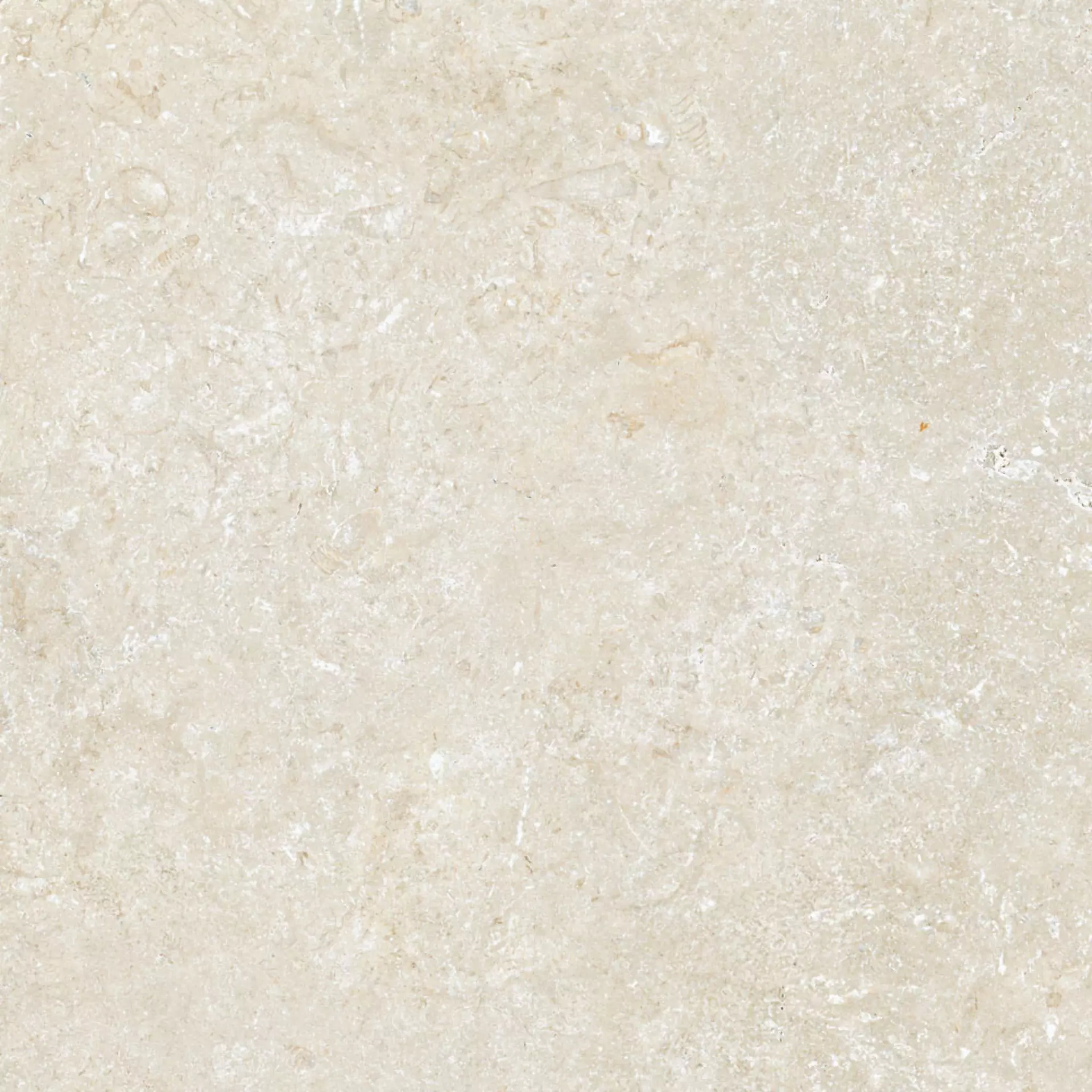Cottodeste Secret Stone Mystery White Honed Protect Mystery White EGGSSX0 antibakteriell geschliffen 90x90cm rektifiziert 14mm