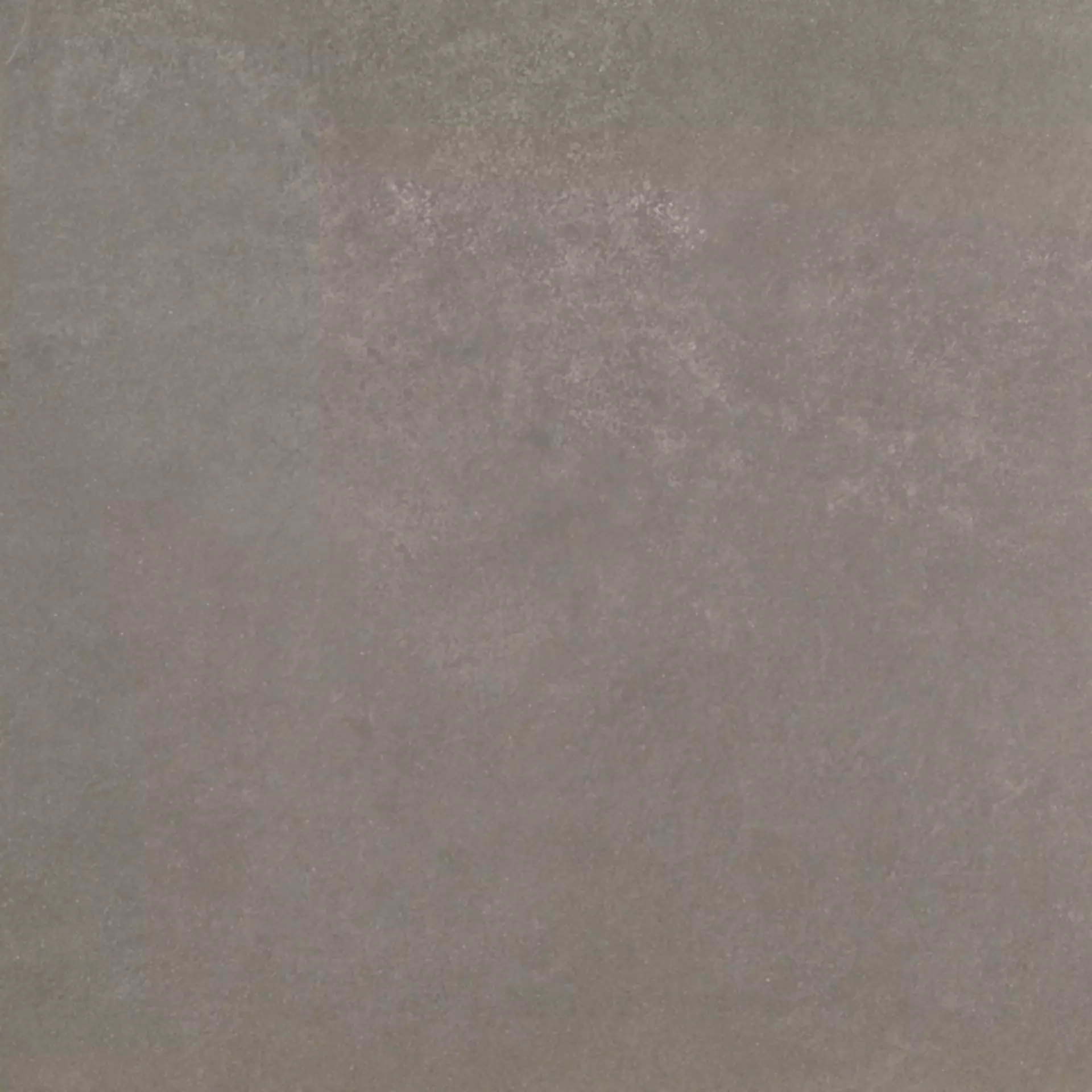 Sichenia Space Taupe 0177796 60x60cm rectified 10mm