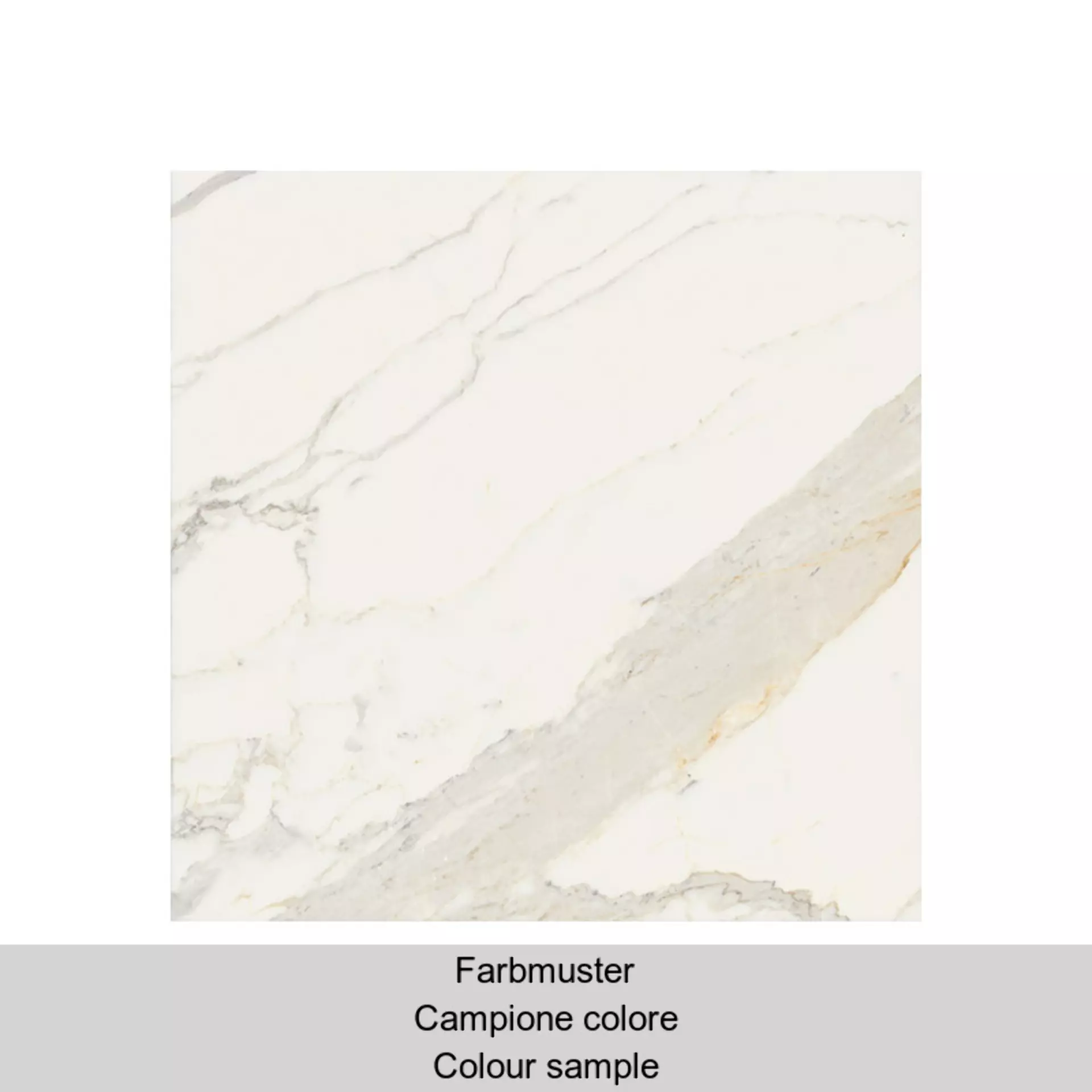 Fioranese Marmorea Bianco Calacatta Levigato MM152LR 15x15cm rectified 10mm