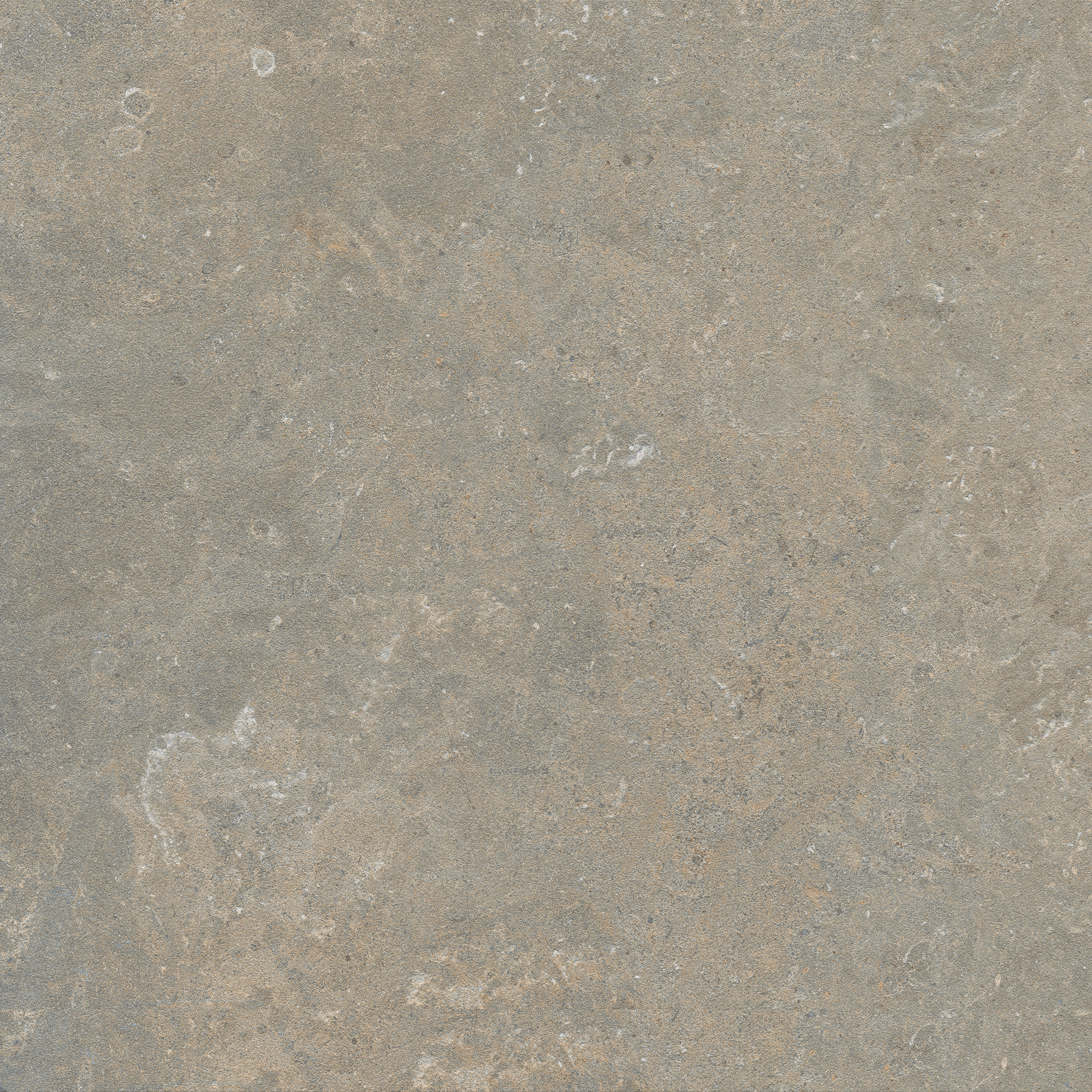Marca Corona Arkistyle Fossil Naturale – Matt J218 naturale – matt 60x60cm rectified 9mm