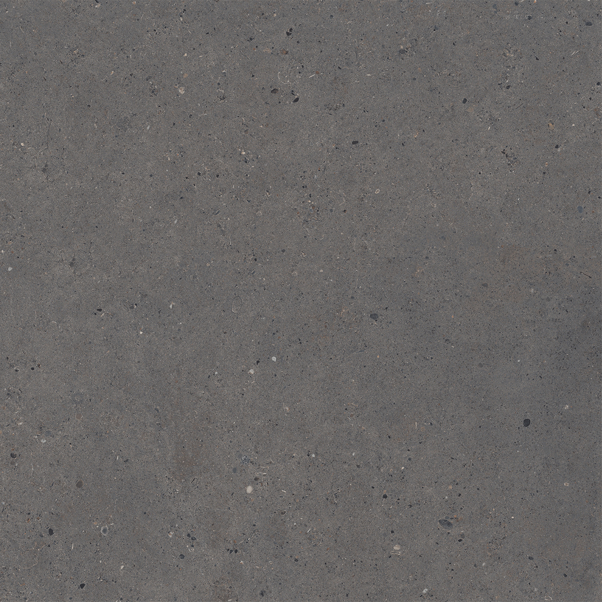 Bodenfliese,Wandfliese Italgraniti Silver Grain Dark Antislip Dark SI05682 rutschhemmend 60x60cm rektifiziert 20mm
