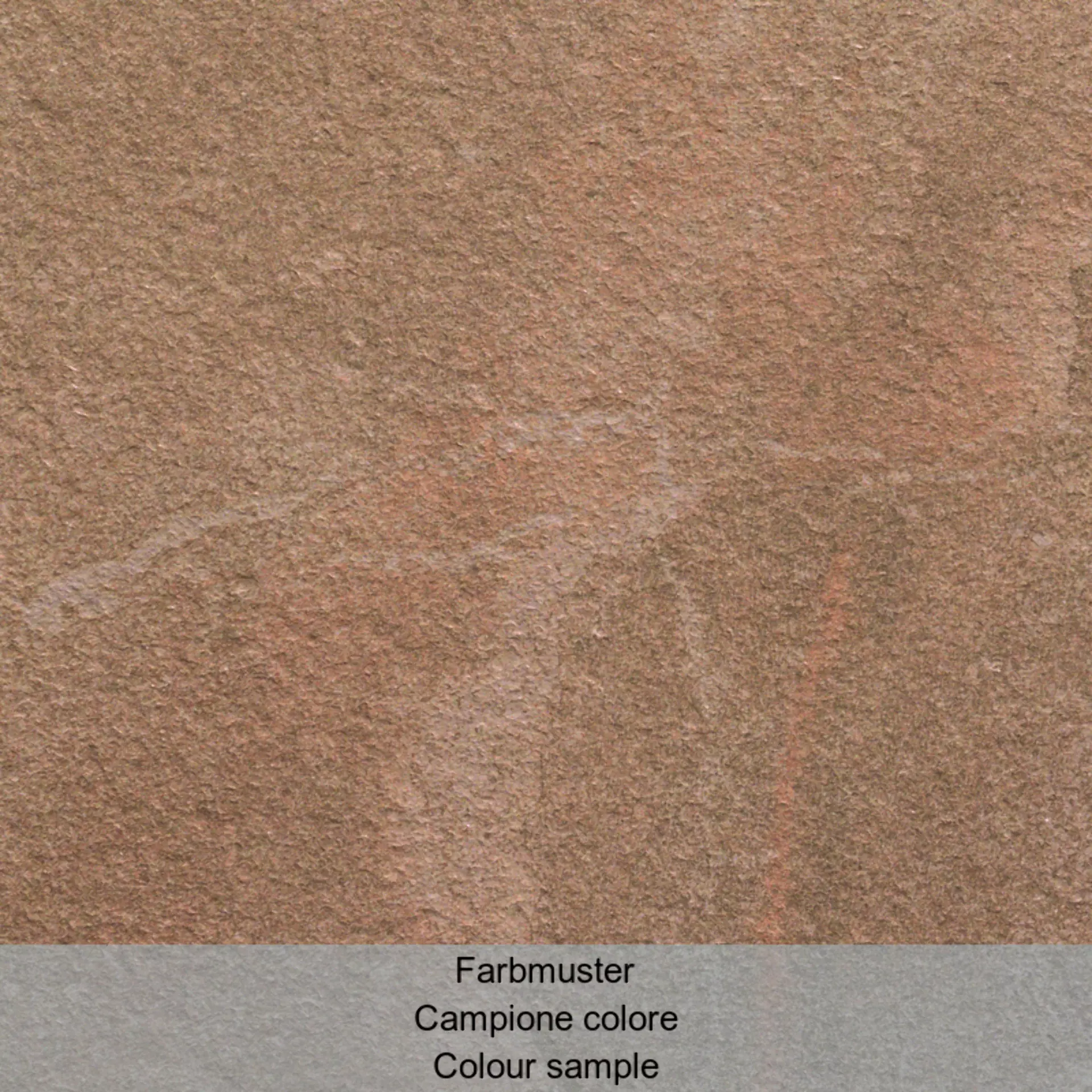 Casalgrande Amazzonia Dragon Brown Naturale – Matt 4700070 30x30cm rectified 9mm