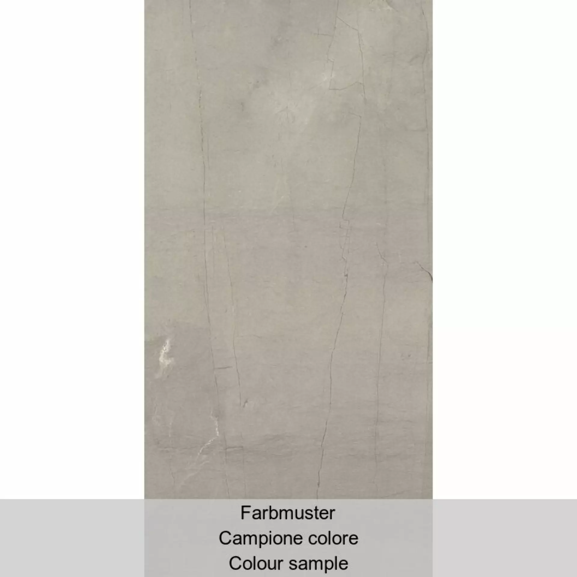 Casalgrande Pietre Di Paragone Grigio Tao Naturale – Matt 10830018 30x60cm rectified 10mm