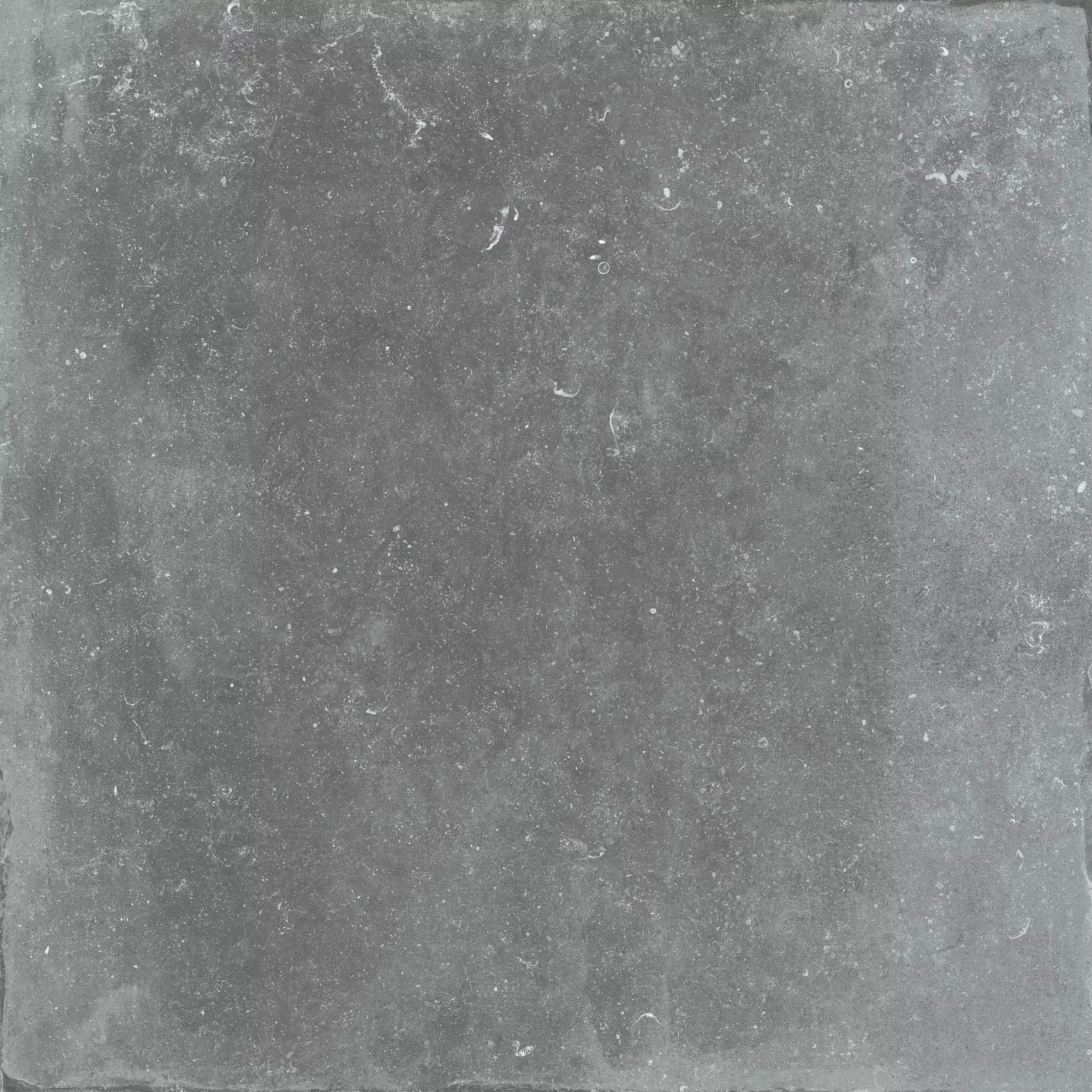 Flaviker Nordik Stone Grey Naturale Grey PF60003749 natur 120x120cm rektifiziert 8,5mm