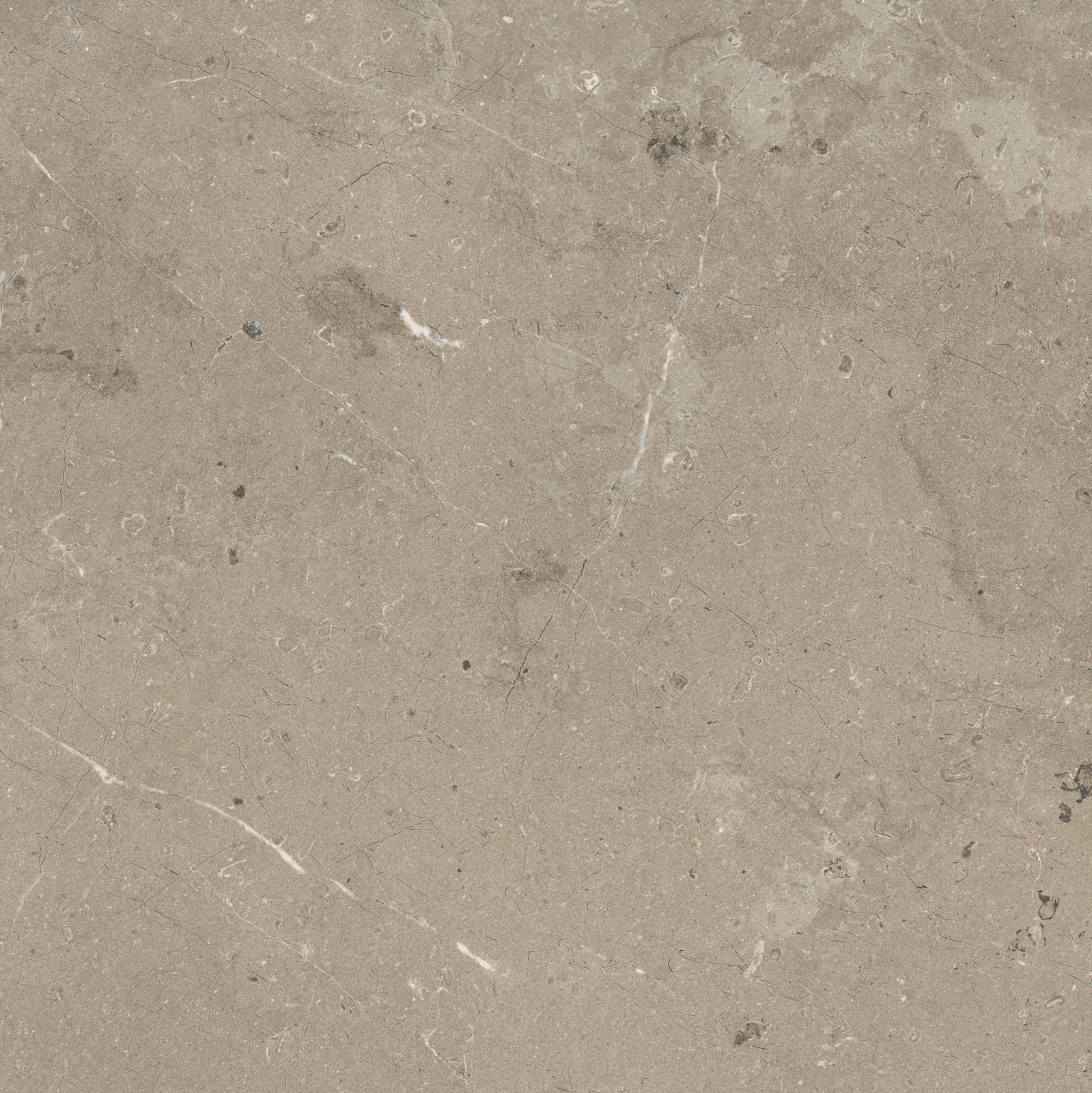 Bodenfliese,Wandfliese Marazzi Mystone Limestone Taupe Naturale – Matt Taupe M7E5 matt natur 75x75cm rektifiziert 9,5mm
