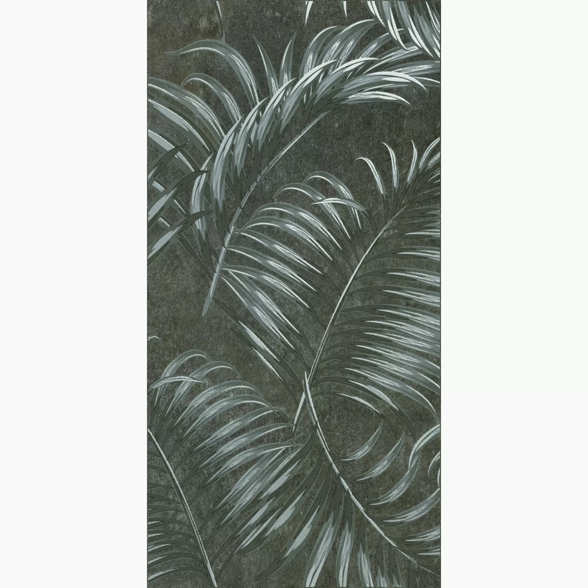 Cercom Absolute Black Naturale Decor Ferns 1077477 120x120cm rectified