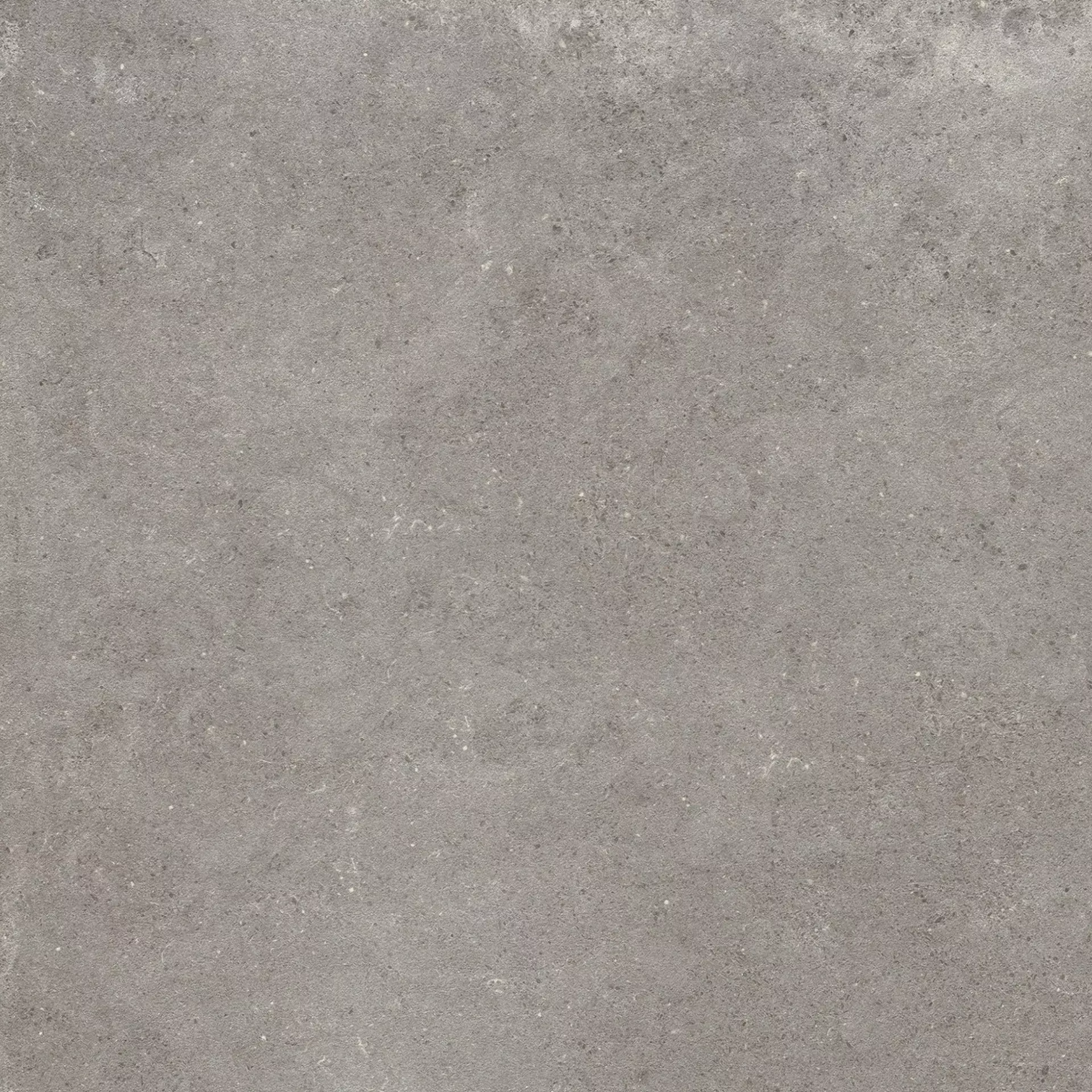 Bodenfliese,Wandfliese Cercom Square Grey Home Grey 1064867 60x60cm rektifiziert 9,5mm