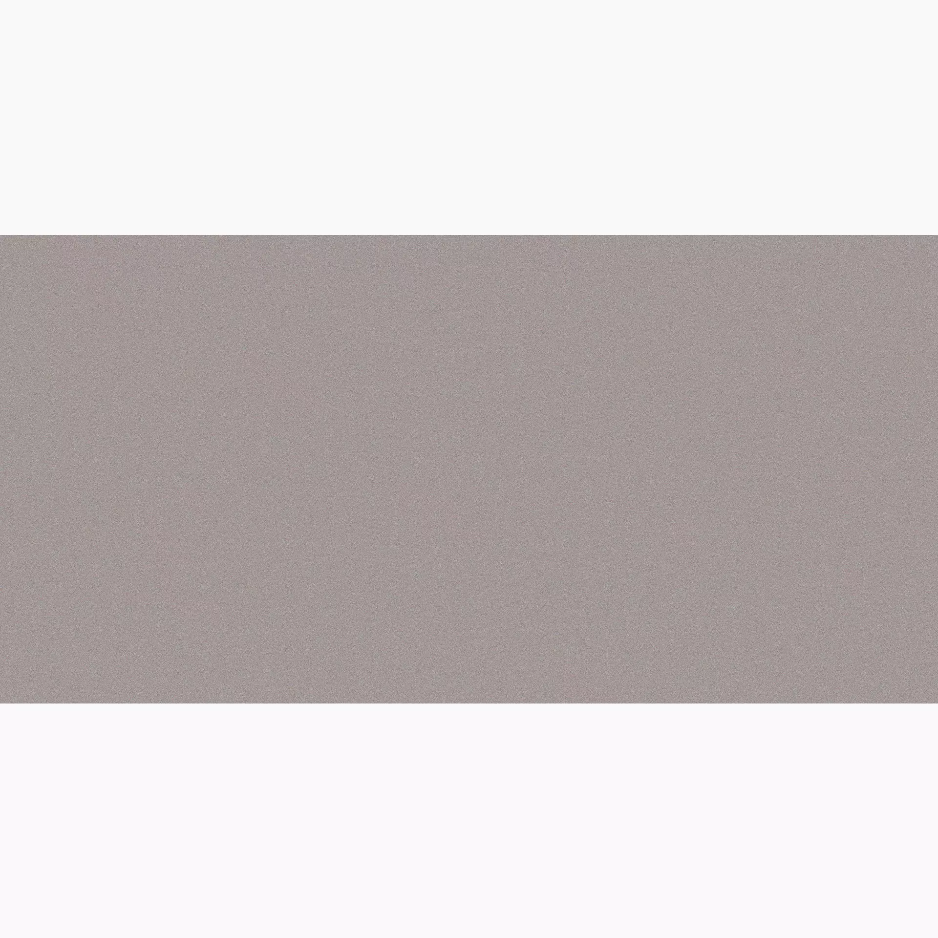 Casalgrande Architecture Light Grey Naturale – Matt Light Grey 4040054 natur matt 45x90cm rektifiziert 10mm