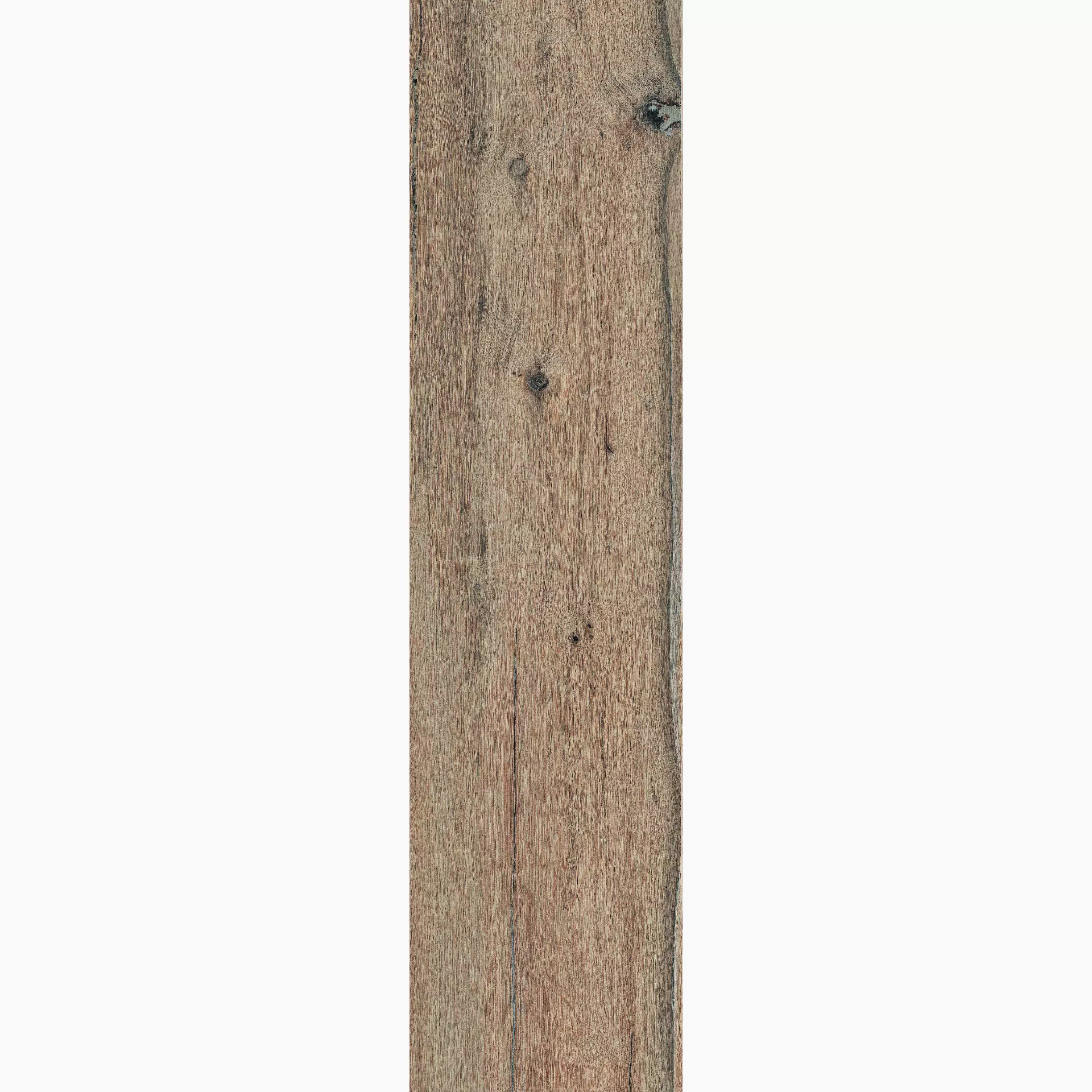 Bodenfliese,Wandfliese Cercom Briccole Miele Naturale Miele 1077643 natur 30x120cm rektifiziert 9,5mm