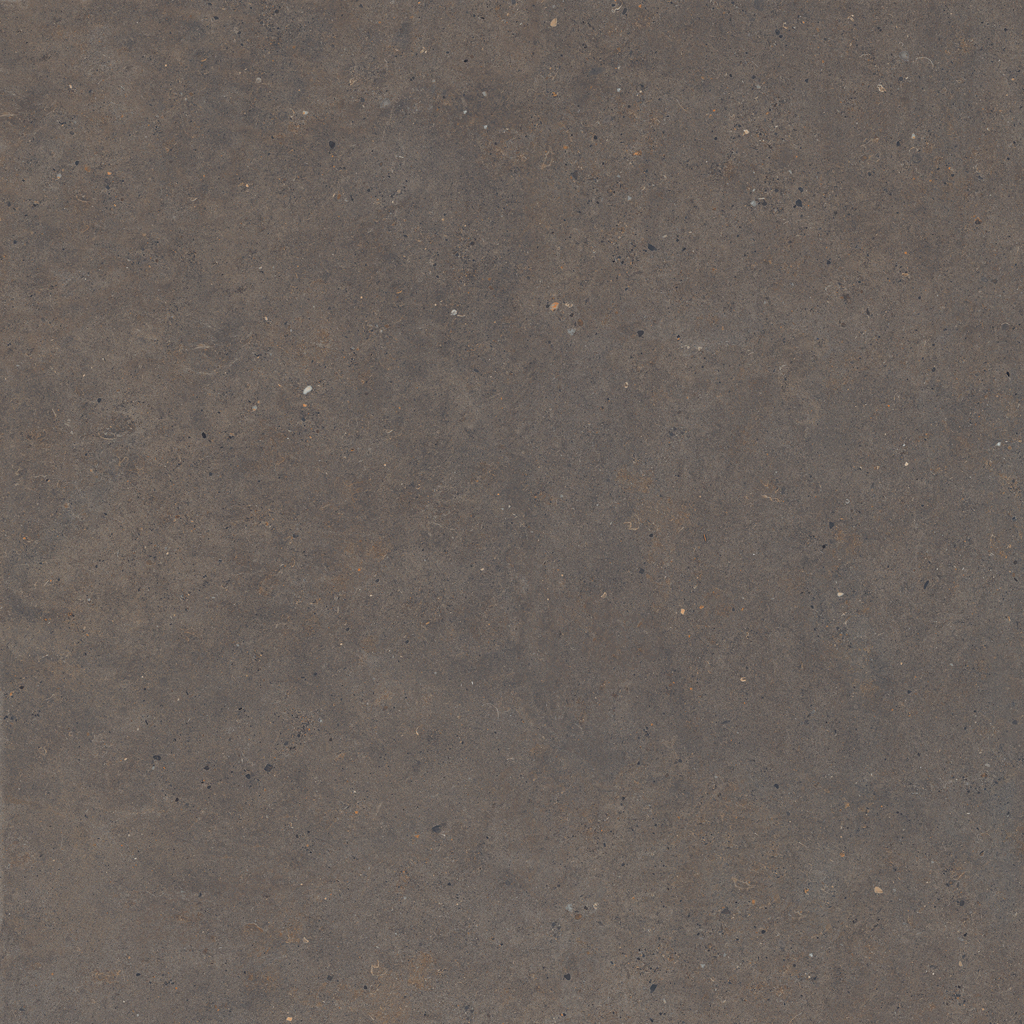 Bodenfliese,Wandfliese Italgraniti Silver Grain Dark Naturale – Matt Dark SI0512 matt natur 120x120cm rektifiziert 9mm