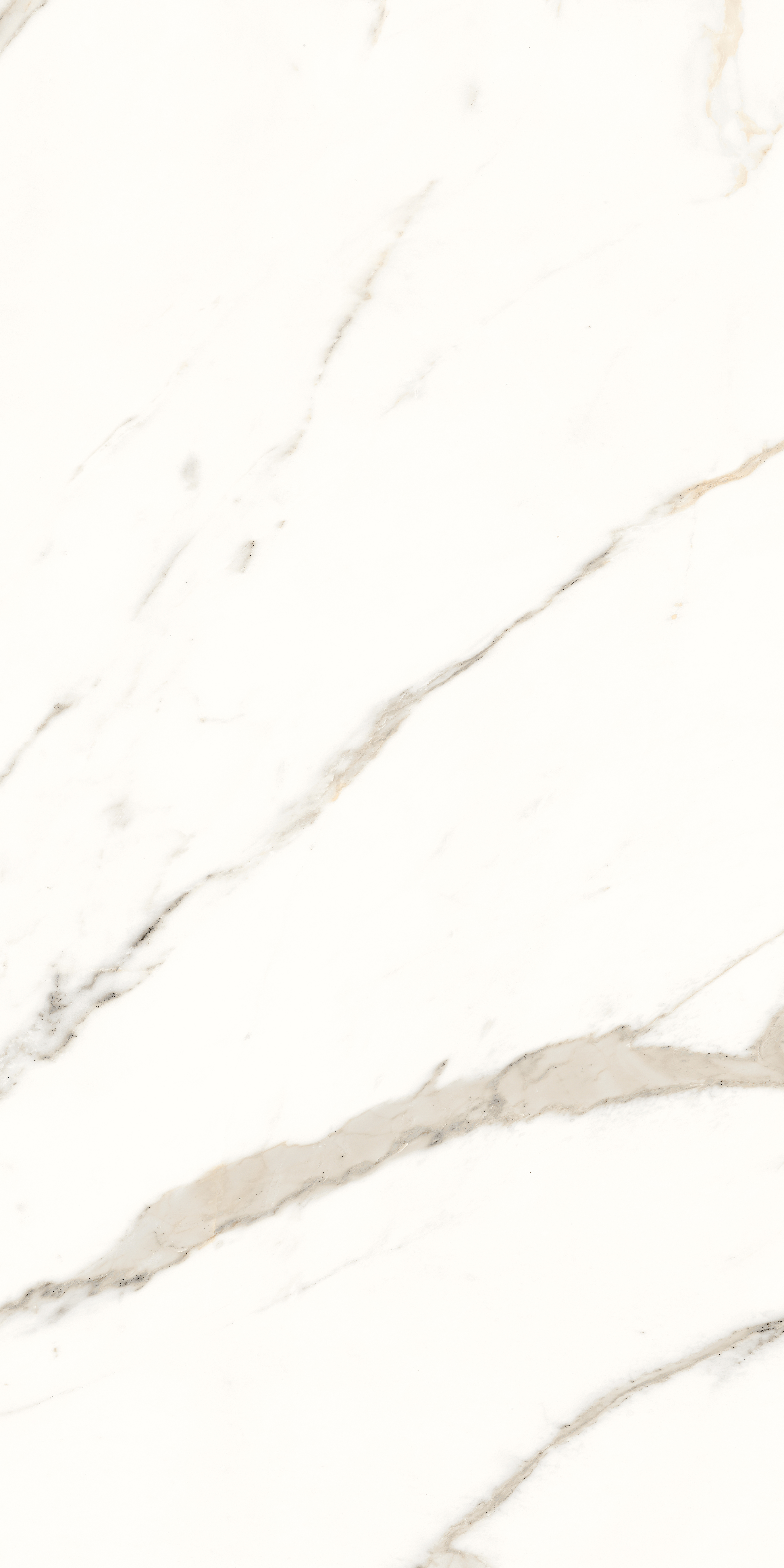 Panaria Trilogy Calacatta White Antibacterial - Lux PGXTY50 60x120cm rectified 9,5mm