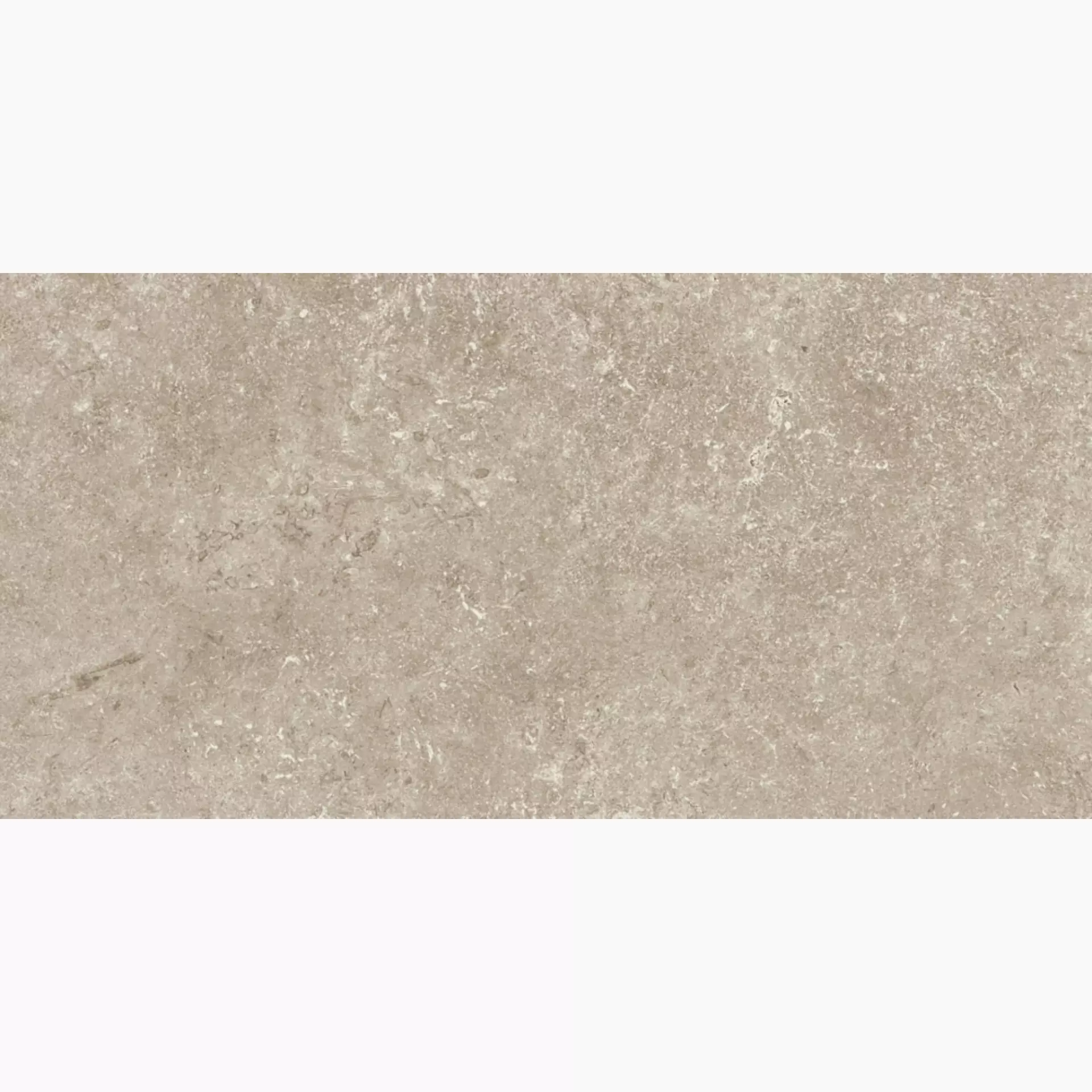 Cottodeste Secret Stone Shadow Grey Honed Protect Shadow Grey EG-SSX3 antibakteriell geschliffen 30x60cm rektifiziert 14mm
