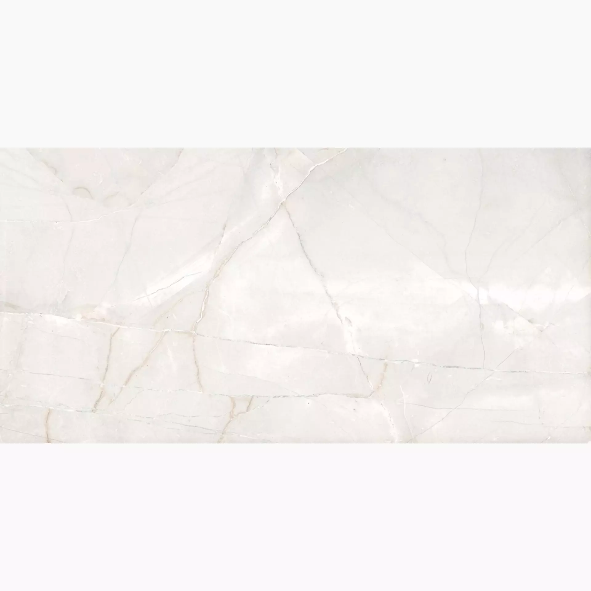 Cerdomus Pulpis Bianco Matt Bianco 65398 matt 60x120cm rektifiziert 9,5mm