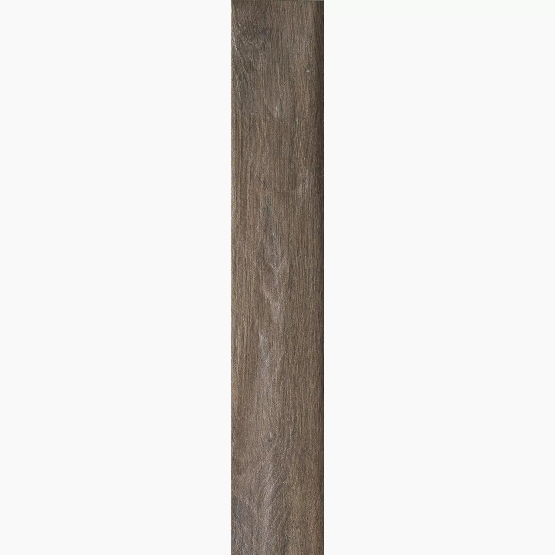 Rondine Vintage Brune Naturale J86579 7,5x45cm 9,5mm