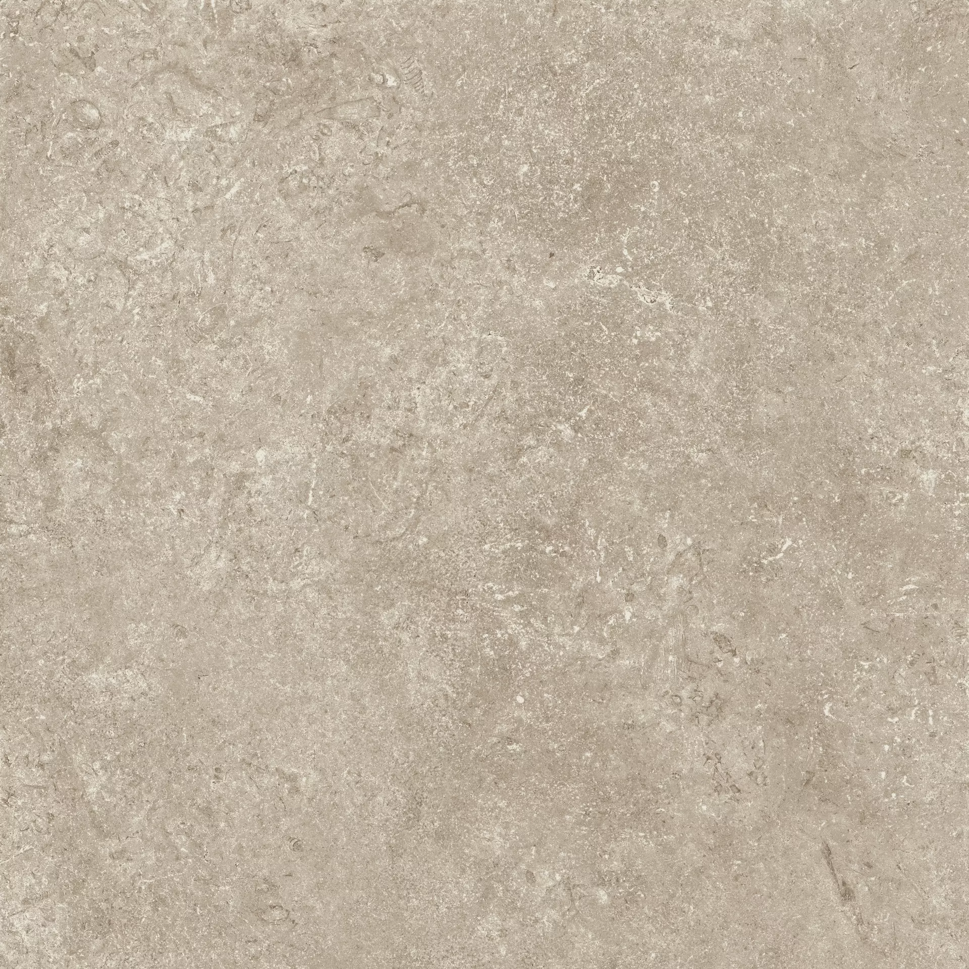 Cottodeste Secret Stone Shadow Grey Naturale Protect EGWSS30 60x60cm rectified 14mm